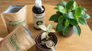 Fertilizzante naturale in polvere e liquido accanto a due piante da interno in vaso su un tavolo di legno